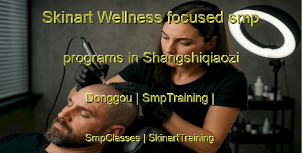 Skinart Wellness-focused smp programs in Shangshiqiaozi Donggou | SmpTraining | SmpClasses | SkinartTraining-China